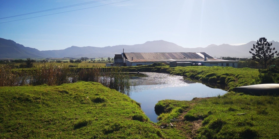 6 Bedroom Property for Sale in George Rural Western Cape